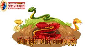 Giải mã giấc mơ thấy rắn thường gặp Giải mã giấc mơ thấy rắn thường gặp