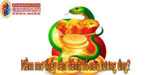 Nằm mơ thấy rắn chọn số nào tương ứng Nằm mơ thấy rắn chọn số nào tương ứng