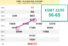 1747886382064.png 1747886382064.png