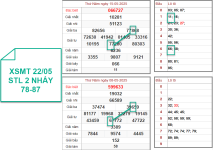 1747886386453.png 1747886386453.png